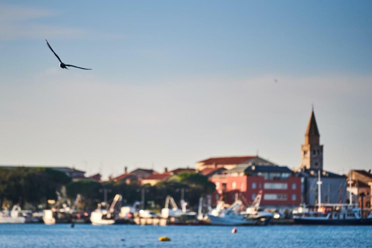 Apartment Morning Light Umag